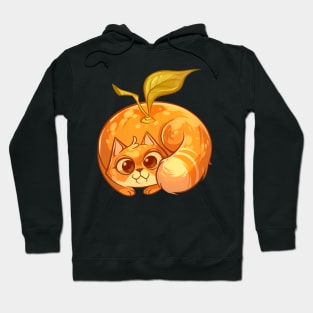 Cat Tangerine Hoodie